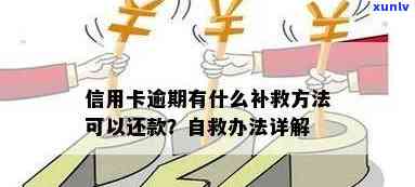 信用卡逾期还款如何补救-信用卡逾期还款如何补救呢