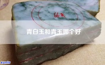 青白玉和青玉哪个值钱：比较两种玉石的价值