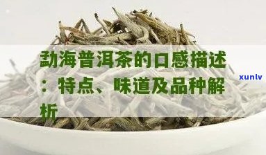 云南勐海味普洱茶价格与功效：解析勐海味道普洱茶含义