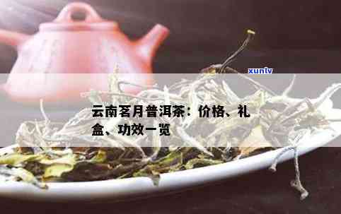 云南普洱茗月茶价格表：普洱茶市场价格及走势分析