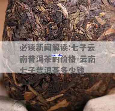 16年陈化云南七子普洱茶价格解析