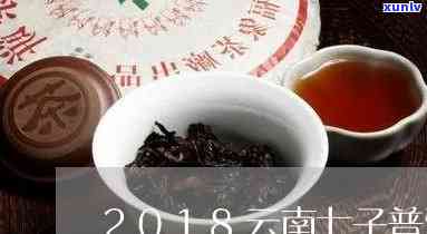 16年陈化云南七子普洱茶价格解析