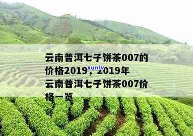 16年陈化云南七子普洱茶价格解析