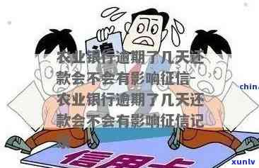 蒂蔻玛瑙手链：精致转运珠与黄金足金相结合，彰显奢华品味