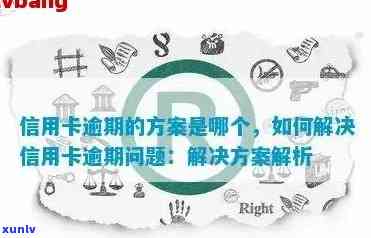 全方位指南：解决信用卡逾期十张的难题