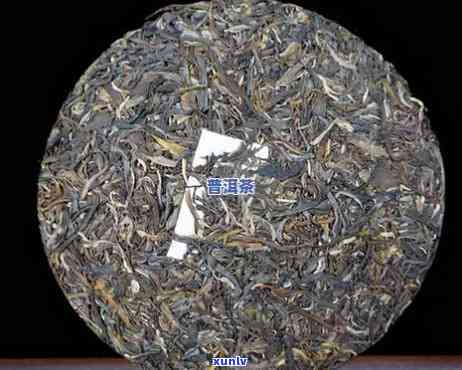 千家寨普洱茶价钱：普洱市千家寨普洱茶业产品特点与口感