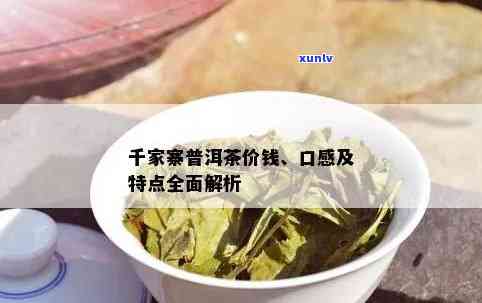 千家寨普洱茶价钱：普洱市千家寨普洱茶业产品特点与口感