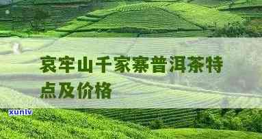 千家寨普洱茶价钱：普洱市千家寨普洱茶业产品特点与口感