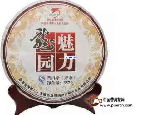 探寻珍稀美味：龙园号普洱茶珍藏版品鉴体验