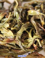 探索润元普洱茶官方报价：稀有茶叶的珍贵价值