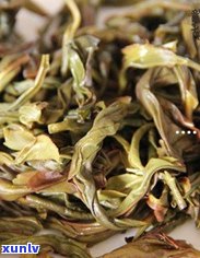 探寻润元茶：哪款普洱茶最值得品尝？