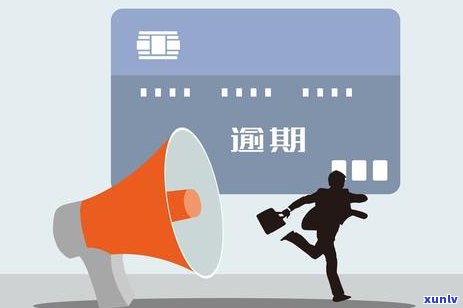 信用卡逾期发个法院信息-信用卡逾期发个法院信息有用吗