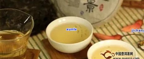 探寻润元茶哪款普洱茶最值得品尝