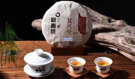 2015年份醉春秋普洱茶：中秋佳节的绝佳选择