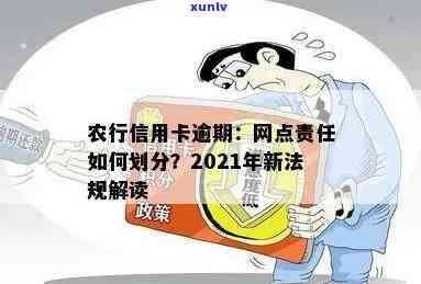 2021年农行信用卡逾期新法规解读：有哪些关键点？