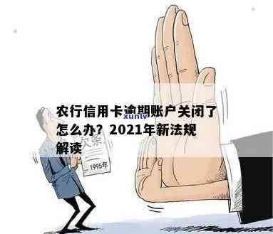 2021年农行信用卡逾期新法规解读：有哪些关键点？