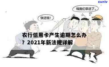 2021年农行信用卡逾期新法规解读：有哪些关键点？