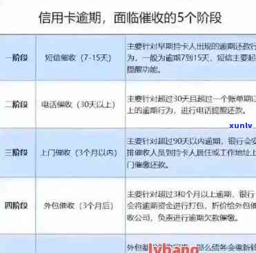 详细了解停银信用卡逾期处理程序：逾期还款解决方案指南