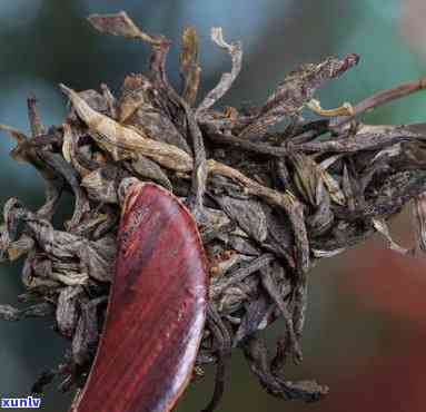 200克古树普洱生茶：品味珍稀茶叶的独特魅力