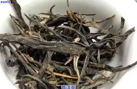 09年普洱熟茶价格表：含2009年普洱茶与熟普洱茶饼价格大全