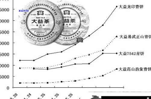 2009年普洱茶当前市场价值解析