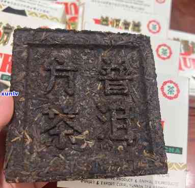 93年普洱方茶价格表大全图片