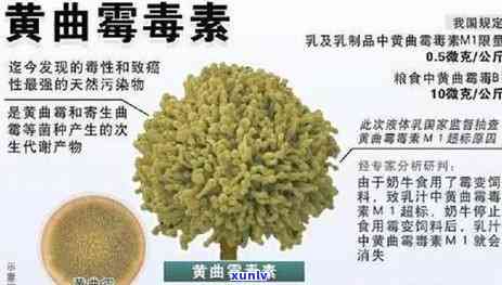 1993年份普洱熟茶市场价格分析与收藏价值评估