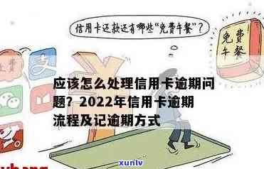 2022年信用卡逾期处理流程指南