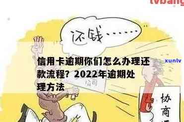 2022年信用卡逾期处理流程指南