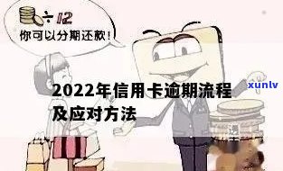 2022年信用卡逾期处理流程指南