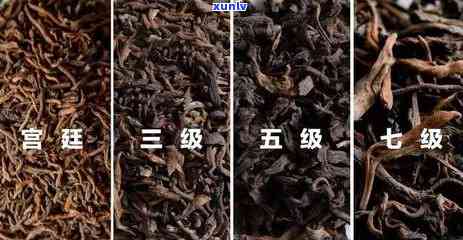 越号普洱红饼价格-越号普洱茶