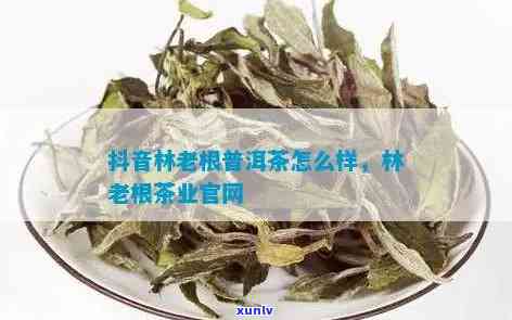 林老根茶叶价格如何？薄荷糖口味体验