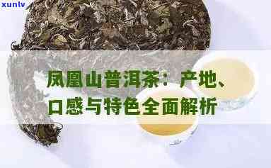 凤凰山普洱生茶价格表与口感特点：茶区概览