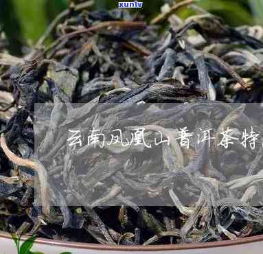 凤凰山普洱生茶价格表与口感特点：茶区概览