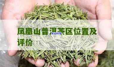 探究凤凰山普洱茶价格背后的因素