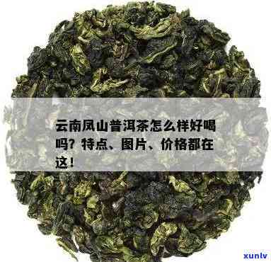 凤凰山普洱茶的口感特点与价格及茶区分布