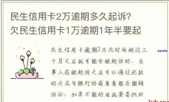 民生信用卡逾期减免告知书：民生信用卡逾期减免政策与还款查询指南