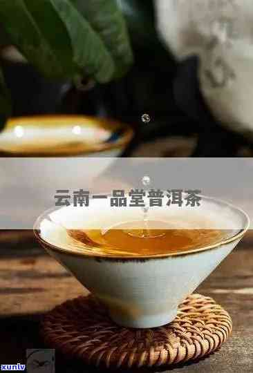 一品堂普洱茶官方网站：品味传统茶艺，精选年份普洱