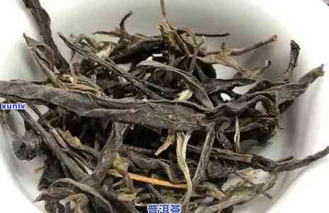 2009年生普洱价值多少：熟茶价格与饮用时限