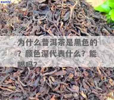 揭秘普洱黑茶颜色的奥秘：普洱黑究竟是什么颜色？