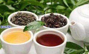 探秘普洱、白茶、黑茶：三种茶类的特点与区别