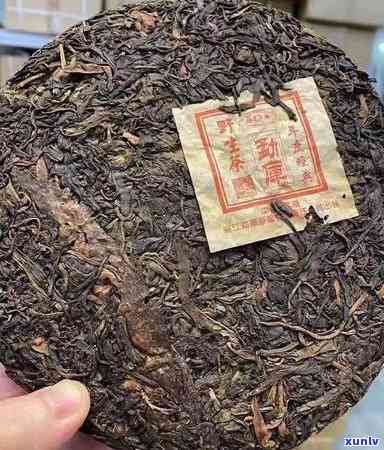 普洱茶传奇88青饼：揭秘背后的故事