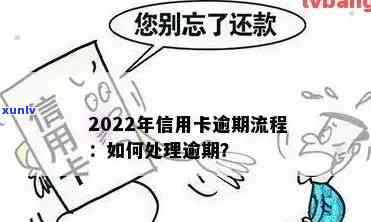 2022年信用卡逾期处理流程详解-2022年信用卡逾期处理流程详解图