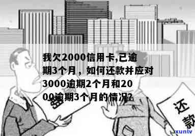 如何妥善处理逾期3000元信用卡欠款的相关照片证据