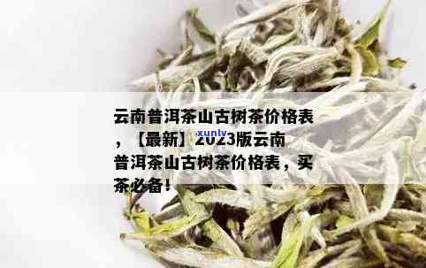 南糯山普洱茶生茶价格：2018-2023年，云南357克是多少