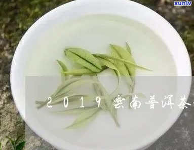 2018-2023年云南南糯山普洱茶生茶价格357克多少钱？