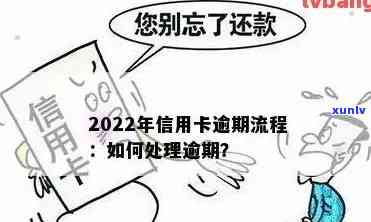 新标题：2022年信用卡逾期处理流程详解