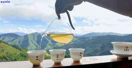 普洱市更名念茶：品味历的积淀，感受时代的传承