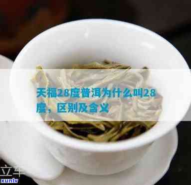 天福28度和58度普洱哪个好：区别与品尝指南