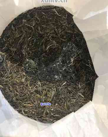 探究云南普洱青茶价格：一斤青茶的市场行情